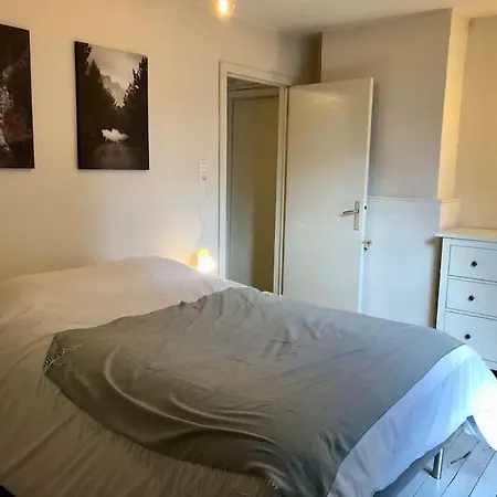 Zen House - Maison En Centre