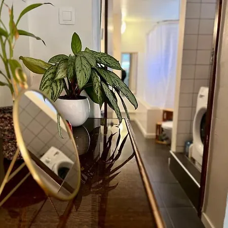 Zen House - Maison En Centre Holiday home Liege