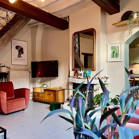 Zen House - Maison En Centre *