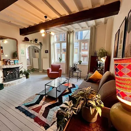 Zen House - Maison En Centre Liège