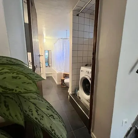 Zen House - Maison En Centre * Liège